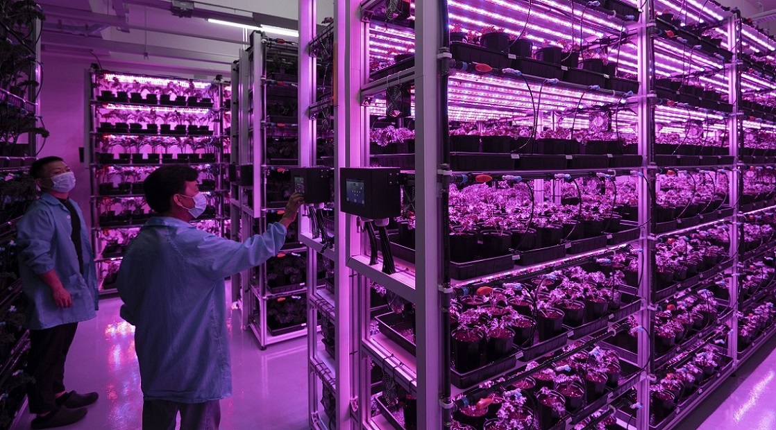 Singapore on path to innovation factory for global food system